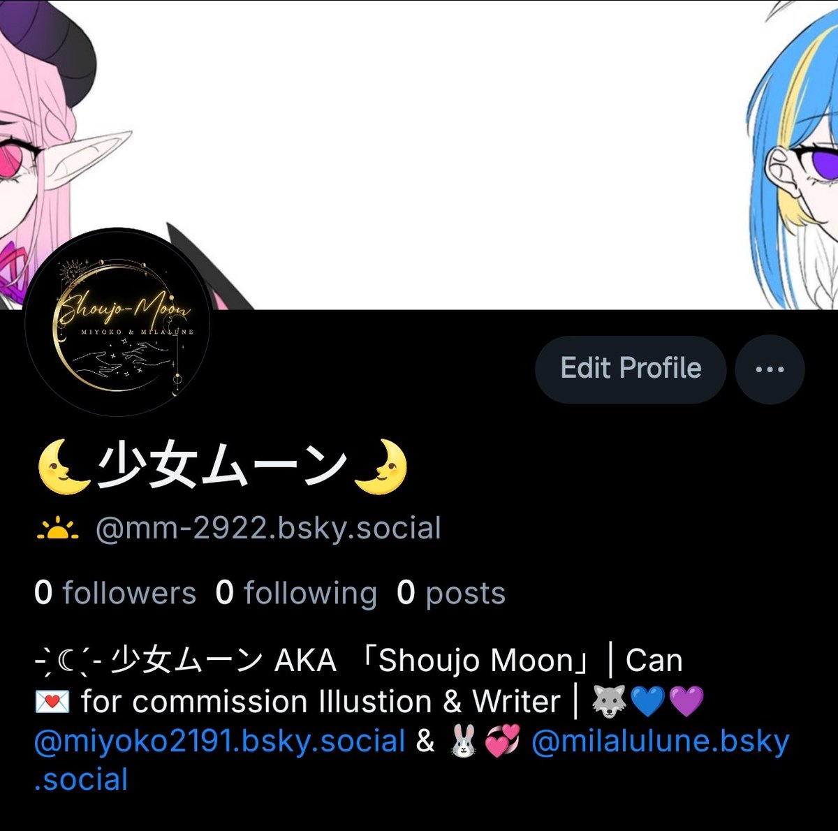 🌜少女ムーン🌛 tweet media