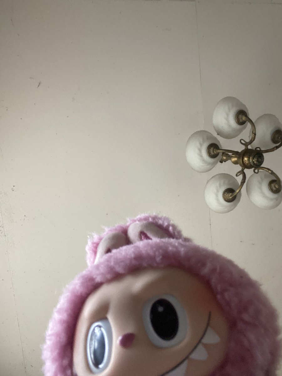 wtt lft labubu lychee to sonny angels / digicam / makeup