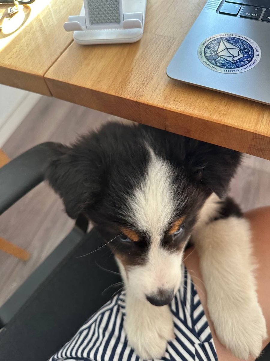 I'm a serious doggo and an $ETH hodler
