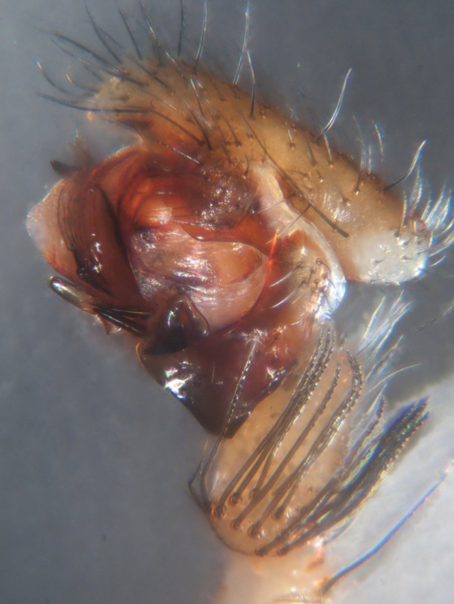 Andrew Douglas tweet media