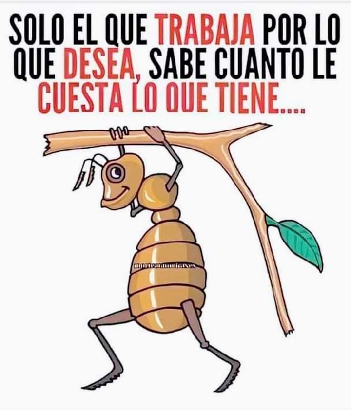 VidaEquilibrad4's tweet photo. https://t.co/s2rNU2Jixr