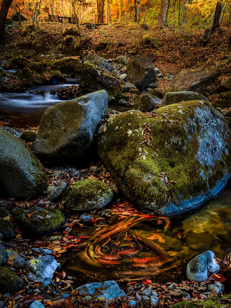 奥日光に秋がやってきました