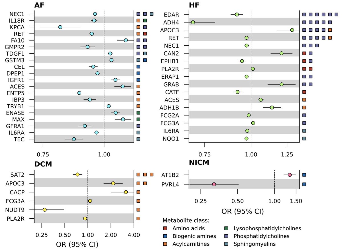 Marion van Vugt (@marionvugt) on Twitter photo Very grateful to share my latest publication, which links metabolites and druggable proteins to AF and HF. Thanks to <a href="/cbezzina1/">Connie Bezzina</a>, <a href="/fwasselbergs/">Folkert Asselbergs</a>, <a href="/j_vansetten/">Jessica van Setten</a>, and others from <a href="/UCL_ICS/">UCL Institute of Cardiovascular Science</a>, <a href="/UCL_IHI/">The UCL Institute of Health Informatics</a>, <a href="/CircHealth_umcu/">Circulatory Health UMC Utrecht</a>, and <a href="/amsterdamumc/">Amsterdam UMC</a>.
Read the paper here: doi.org/10.1186/s13073… Very grateful to share my latest publication, which links metabolites and druggable proteins to AF and HF. Thanks to <a href="/cbezzina1/">Connie Bezzina</a>, <a href="/fwasselbergs/">Folkert Asselbergs</a>, <a href="/j_vansetten/">Jessica van Setten</a>, and others from <a href="/UCL_ICS/">UCL Institute of Cardiovascular Science</a>, <a href="/UCL_IHI/">The UCL Institute of Health Informatics</a>, <a href="/CircHealth_umcu/">Circulatory Health UMC Utrecht</a>, and <a href="/amsterdamumc/">Amsterdam UMC</a>.
Read the paper here: doi.org/10.1186/s13073…