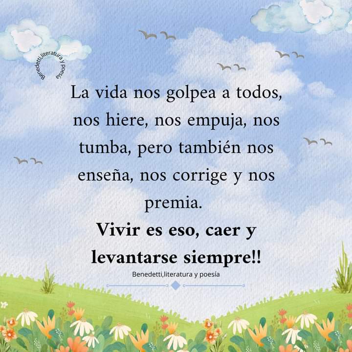 VidaEquilibrad4's tweet photo. https://t.co/tpUqPT2ufD