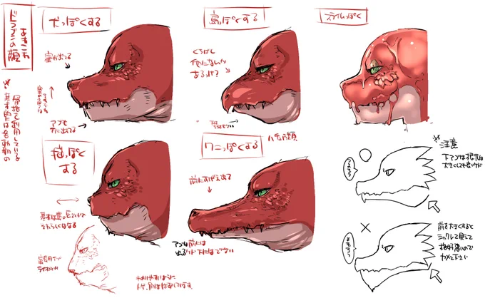 仕事で描いたドラゴンの横顔模索アレコレ
個人的にはワニより犬タイプが割と好きですw猫はいまいちしっくりこないというか別モンスターっぽくなる印象。 