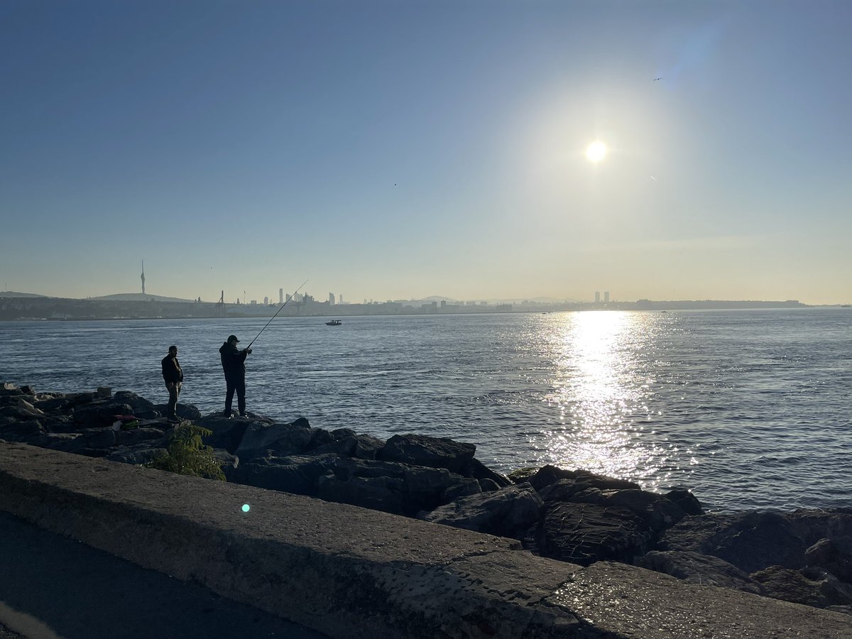 David Martin tweet media