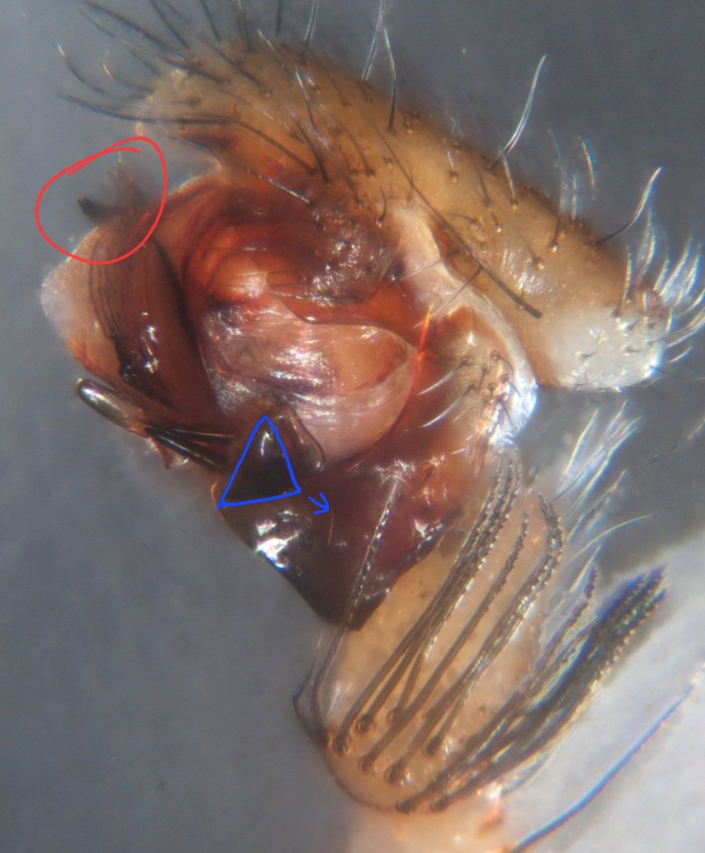 Tylan Berry tweet media