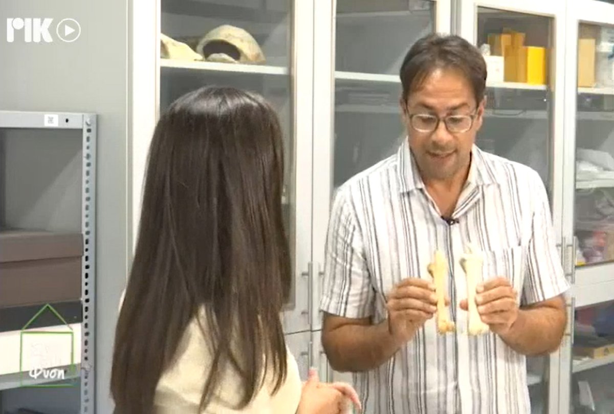 SACHROFICS tweet media