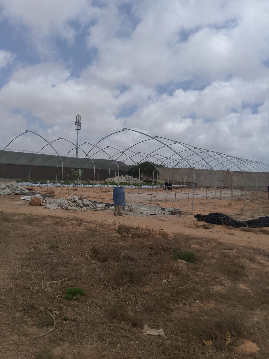 mohamed92494949's tweet photo. Building Two Nursery Greenhouses with Capacity of 800000 seedlings. https://t.co/w7A2onIFVS
