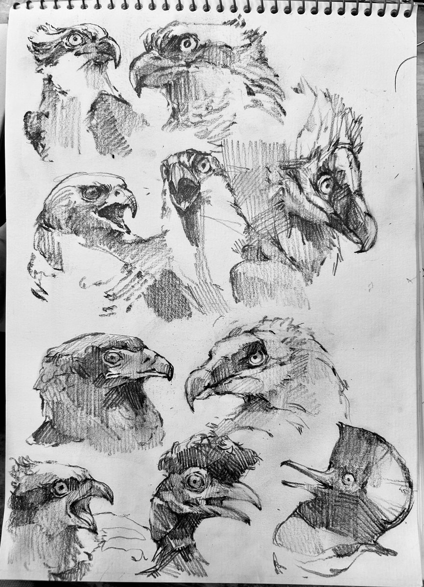 ミナミ/ Minami (@gapapanopa) on Twitter photo 