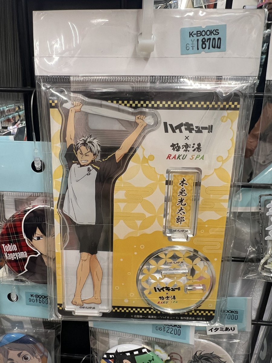 This Bokuto stand costs HOW MUCH
