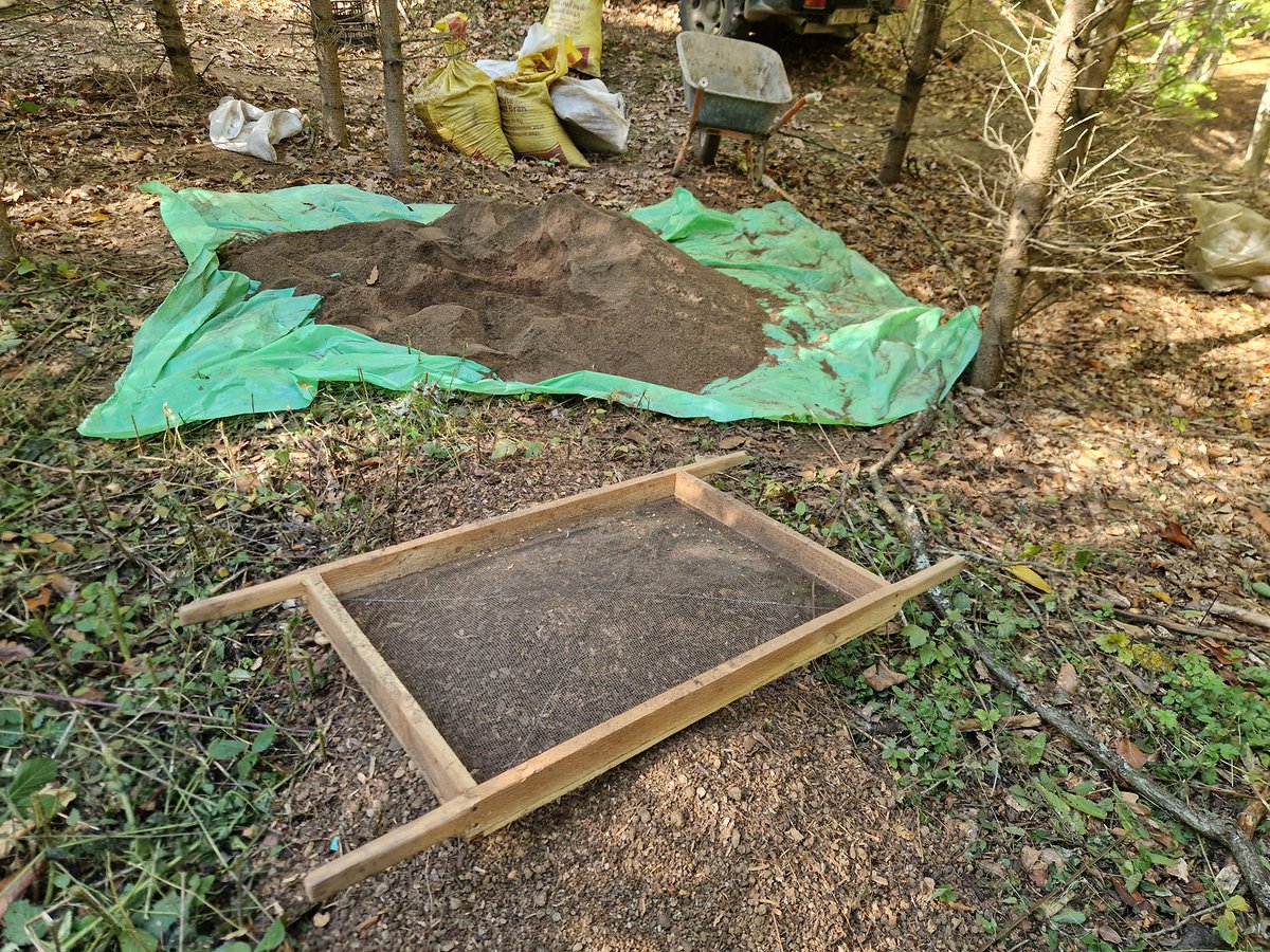 RNP_Romsilva's tweet image. Activități de toamnă în pepinierele silvice ale Romsilva. Colegii noștri de la Ocolul Silvic Râmnicu Vâlcea au realizat semănăturile de brad în pat nutritiv la Pepiniera Silvică Iezer, primul pas în obținerea puieților forestieri necesari campaniilor de împăduriri viitoare.
#fir