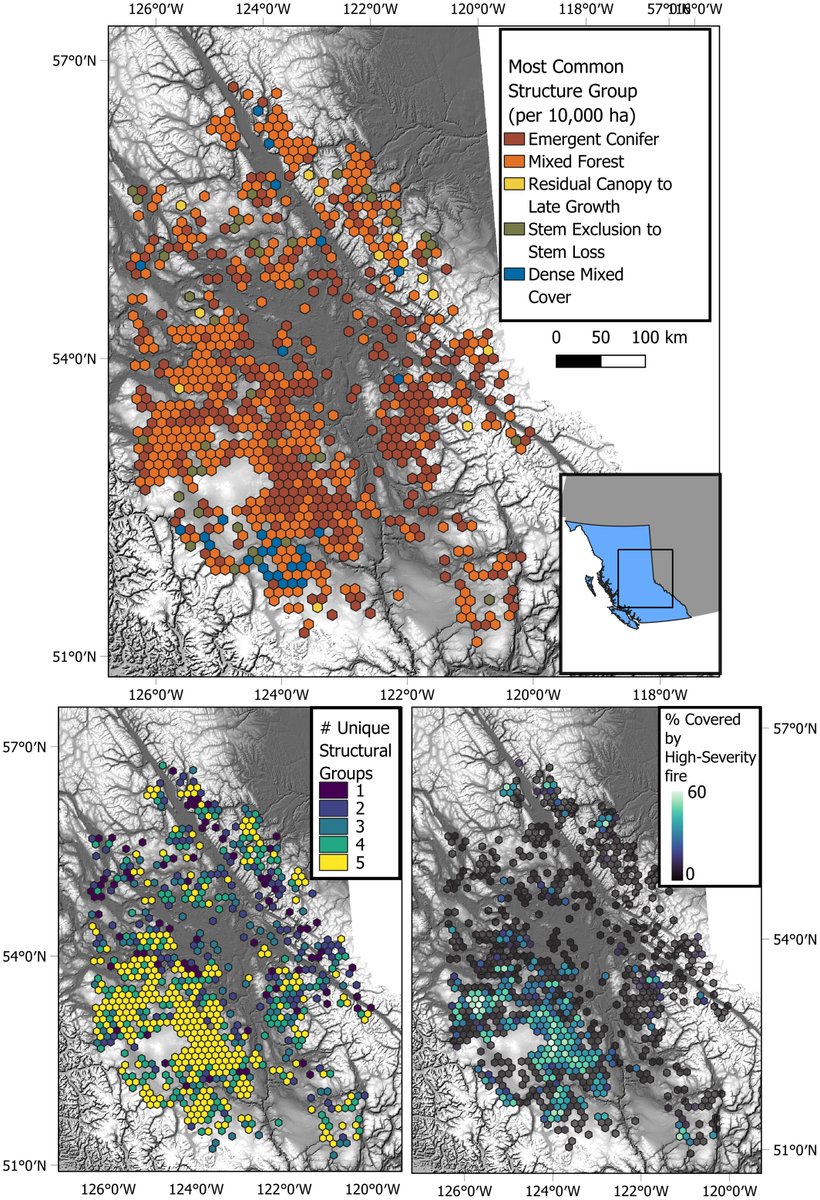 Early spectral dynamics are indicative of distinct growth patterns in post-wildfire forests.
Smith-Tripp et al.

…lpublications.onlinelibrary.wiley.com/doi/full/10.10…