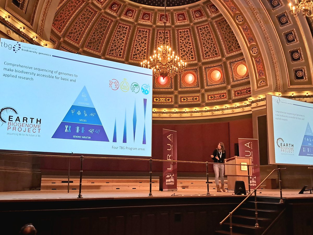 Rob Waterhouse also @rmwaterhouse.bsky.social (@rmwaterhouse) on Twitter photo #LRUA24 @CarolaGreve <a href="/LOEWE_TBG/">LOEWE Centre Translational Biodiversity Genomics</a> Whippet #genome with <a href="/PacBio/">PacBio</a> in record time of 7 days <a href="/erga_biodiv/">European Reference Genome Atlas</a> <a href="/EBPgenome/">Earth BioGenome Project</a> 🐕🧬 #LRUA24 @CarolaGreve <a href="/LOEWE_TBG/">LOEWE Centre Translational Biodiversity Genomics</a> Whippet #genome with <a href="/PacBio/">PacBio</a> in record time of 7 days <a href="/erga_biodiv/">European Reference Genome Atlas</a> <a href="/EBPgenome/">Earth BioGenome Project</a> 🐕🧬
