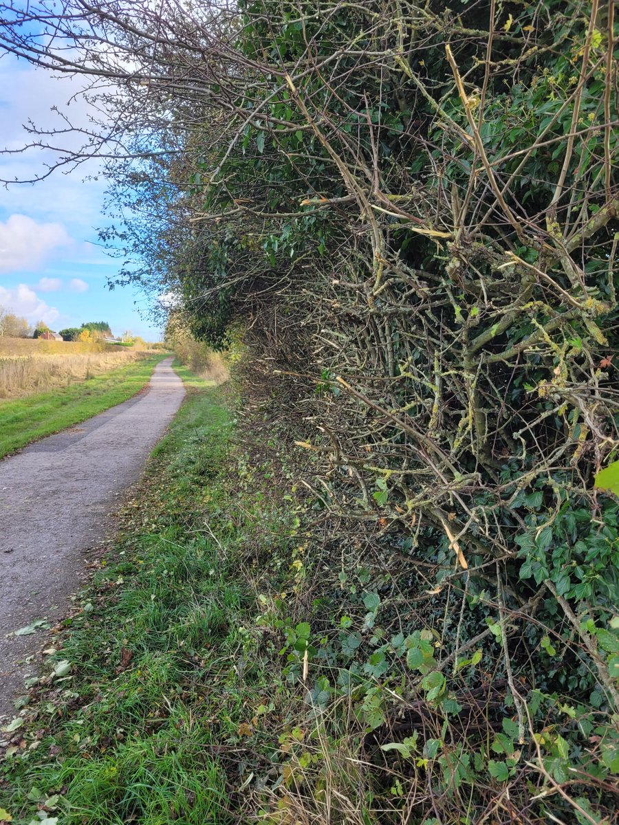 Derby Canal tweet media