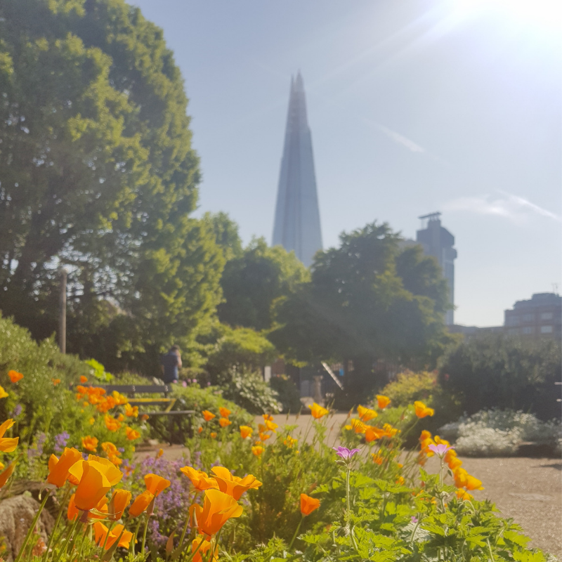 BOSTSE1's tweet image. &quot;Green spaces in cities play a vital role in reducing illness and deaths caused by climate breakdown, according to the most comprehensive study of its kind.&quot; theguardian.com/environment/20… Just quietly playing a vial role over here 😉 #gardening💚