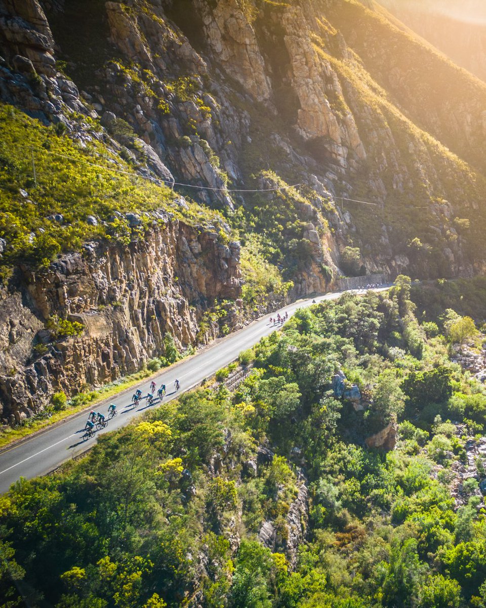 🔥ONE MONTH to go! The countdown is on for the 2024 Old Mutual Wealth Double Century, who's ready for 202km of unforgettable scenery and team spirit? 
#OldMutualWealthDC #OMWDC #FurtherTogether