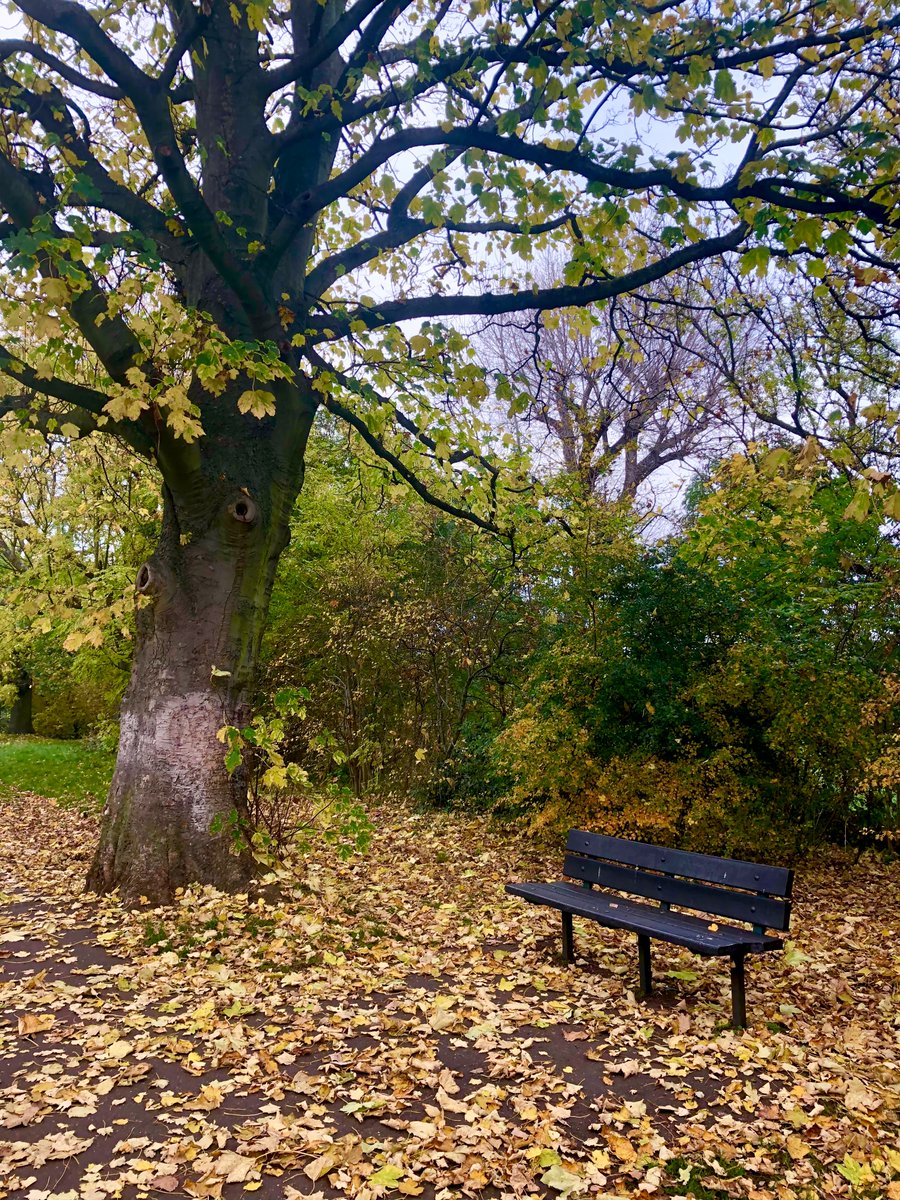 Omzlfc's tweet image. London during Autumn isn’t too bad