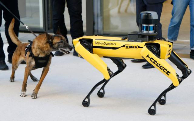 FaizonSol's tweet photo. Bring back animals 

Kill all robots https://t.co/S2sn7uTTvO
