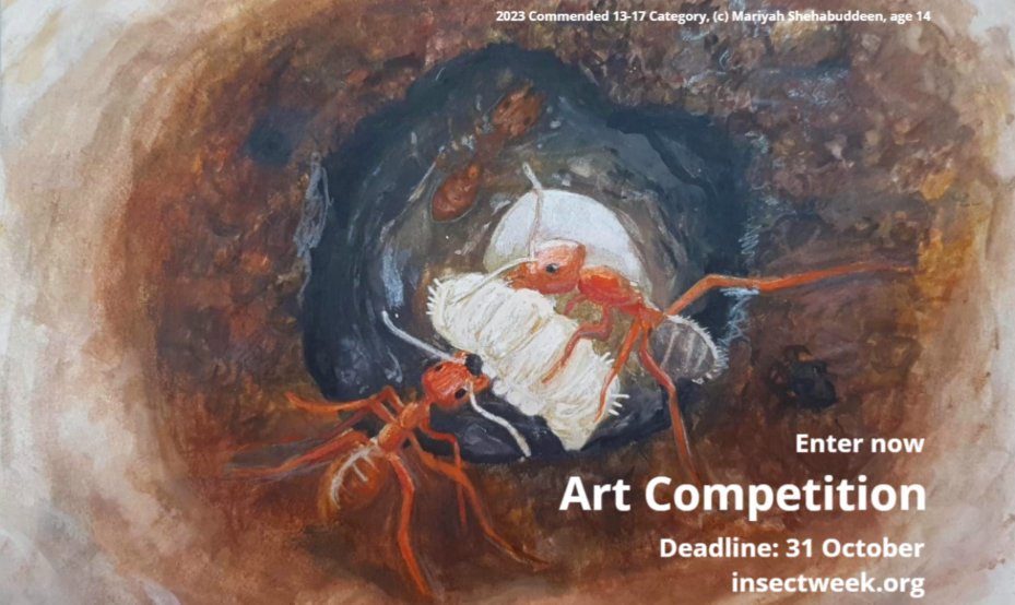 📢 Deadline next week!

From butterflies to bees, we're inviting #teachers, parents &amp; #nature enthusiasts to capture the beauty &amp; intrigue of #insects through our #Art &amp; #Photography #Competitions.

📅 Enter by 31 Oct 🔽
insectweek.org/art-and-photog…

#InsectWeek #Inktober #Invertober