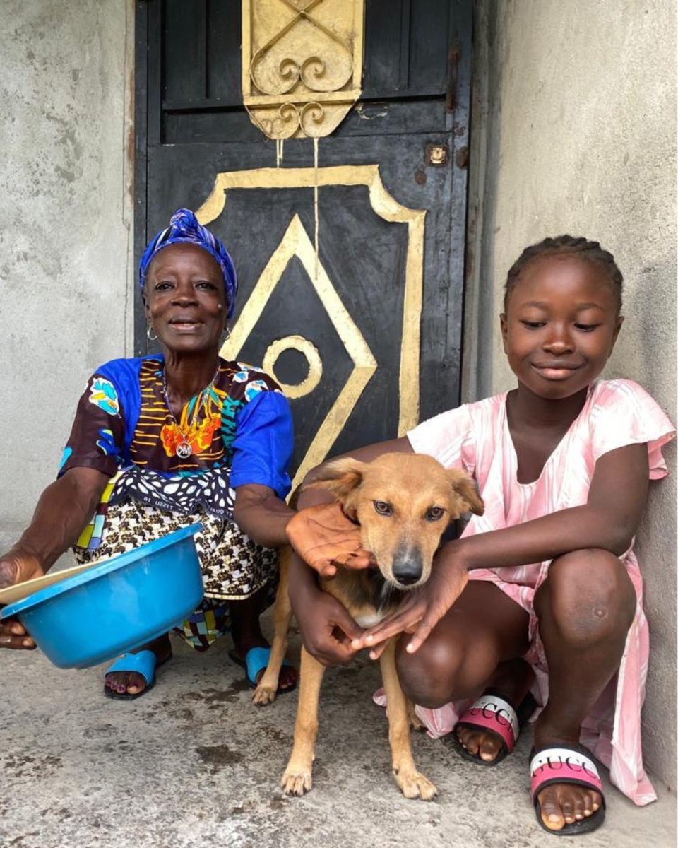 GlobalStrays's tweet image. Our partner shelter, Liberia Animal Welfare Society, is working to educate communities on proper pet care, including offering safe and nutritious food for their furry friends. We’re so grateful to be a part of helping communities give their pets the best care possible!