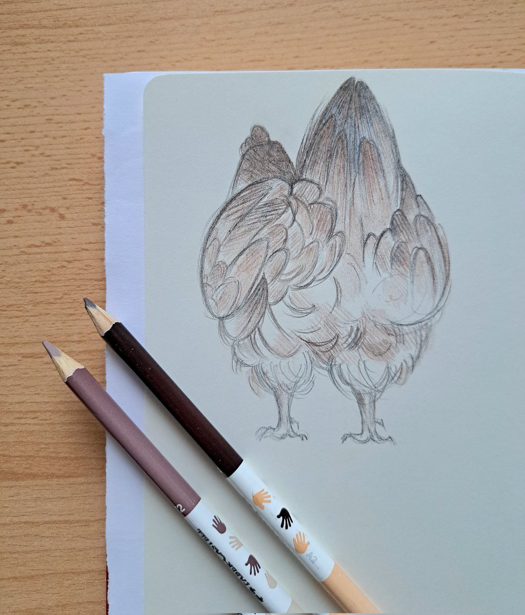 CoyotePip's tweet photo. You got the whole coop laughing 🐓🐓🐓

#watercolors #traditionalart #sketch #chicken #drawing #painting #inktober2024 https://t.co/KKHagzxzrb