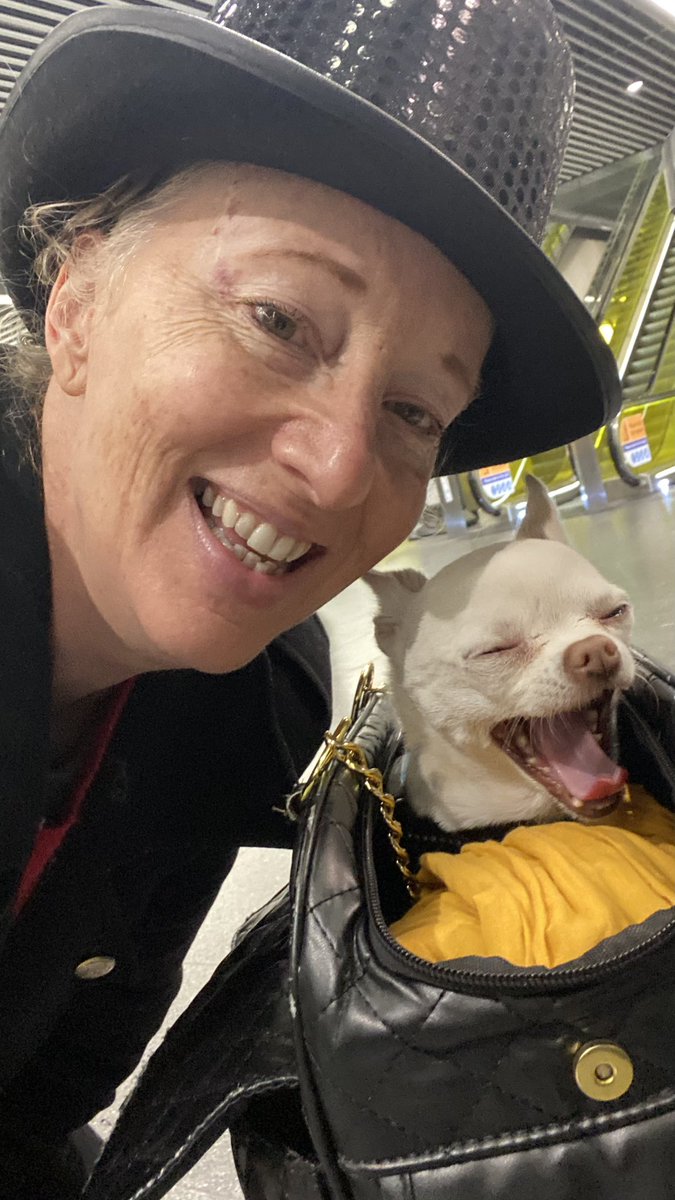 Debbie Bridge tweet media