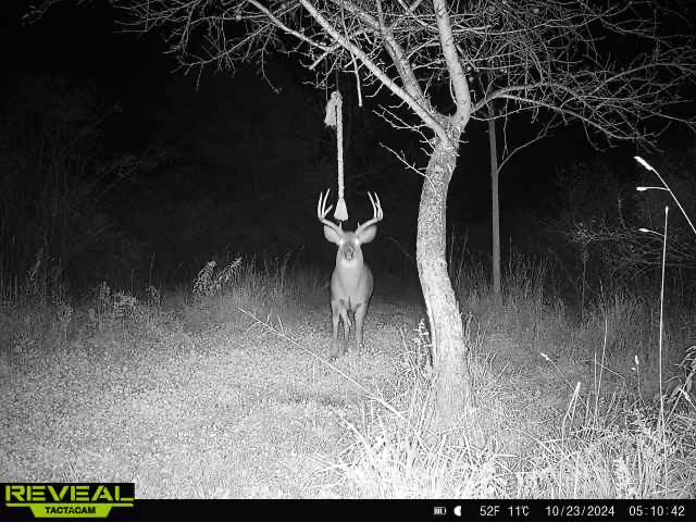 Bluetickguy🇺🇸 tweet media