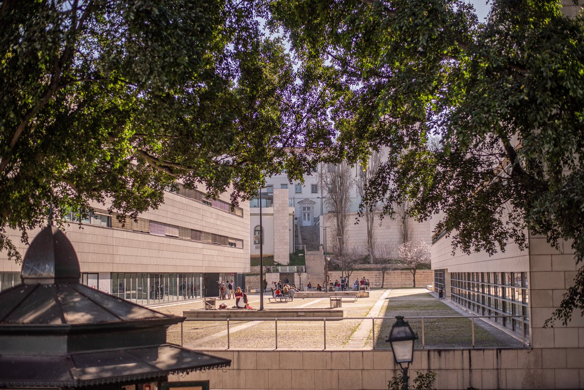João Pereira dos Santos @joaopsantos.bsky.social (@jpsantos_econ) on Twitter photo 📢We are hiring at <a href="/iseglisbon/">ISEG Lisbon</a>!
2 Assistant Professor Positions in Economics (any field)
More info: econjobmarket.org/positions/10926
Get in touch with me or with <a href="/C_D_Santos/">Carlos Daniel Santos</a> if you have any questions and join us in beautiful Lisbon!
Please RT #EconTwitter 📢We are hiring at <a href="/iseglisbon/">ISEG Lisbon</a>!
2 Assistant Professor Positions in Economics (any field)
More info: econjobmarket.org/positions/10926
Get in touch with me or with <a href="/C_D_Santos/">Carlos Daniel Santos</a> if you have any questions and join us in beautiful Lisbon!
Please RT #EconTwitter