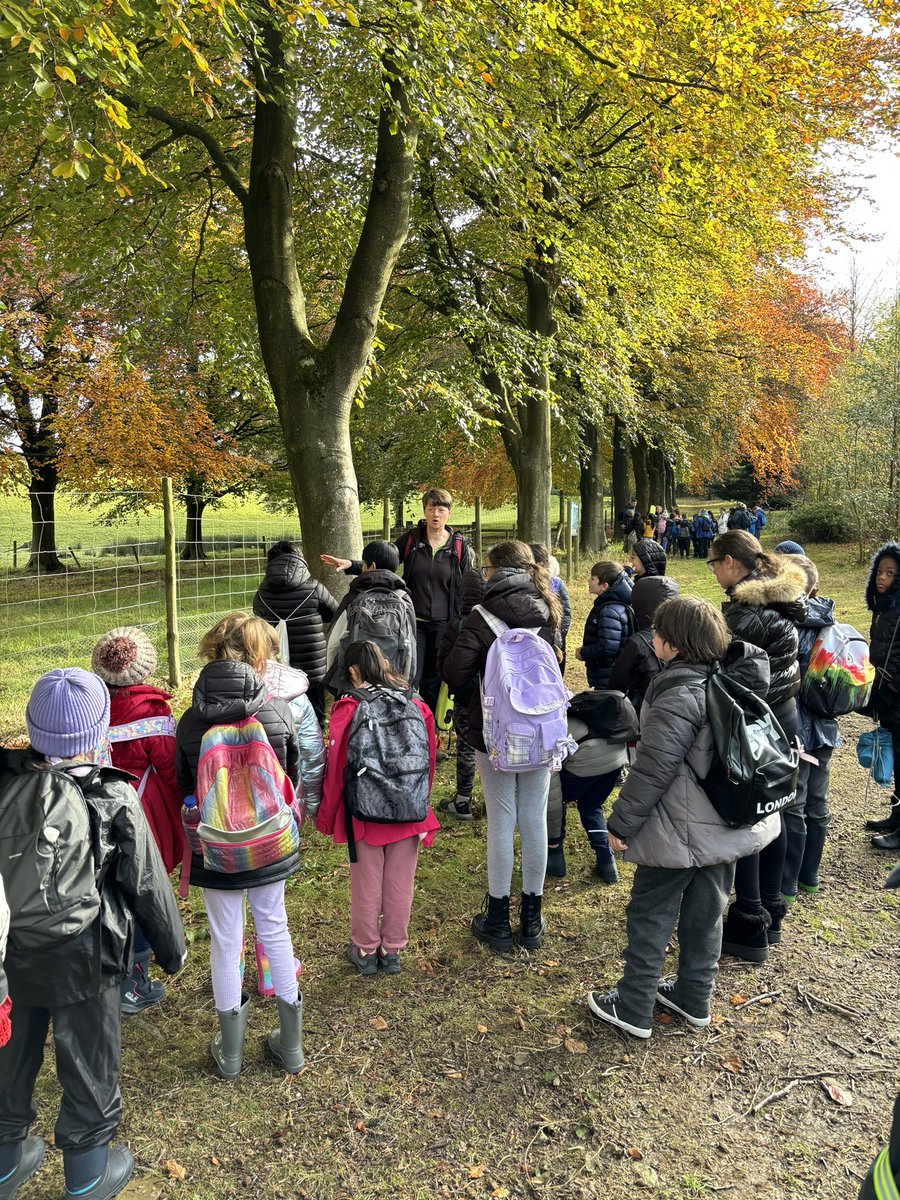 MissWilliamsMLP's tweet image. Year 5 have begun their hike in the Peak District ⛰️ @MabLanePri @MrScarrMLP  We are very excited to see the lovely views from the top! #fieldtrip #mapskills #onlythebest