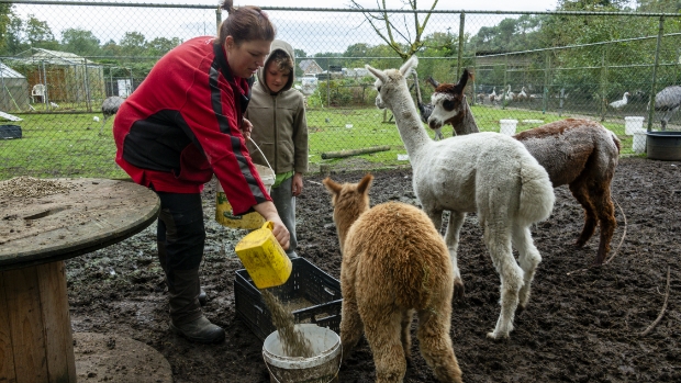 Rucphense Bode tweet media