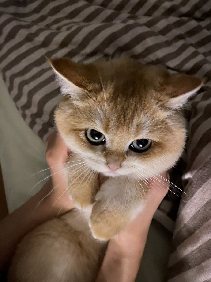 🥺 https://t.co/dP6nKAY49E