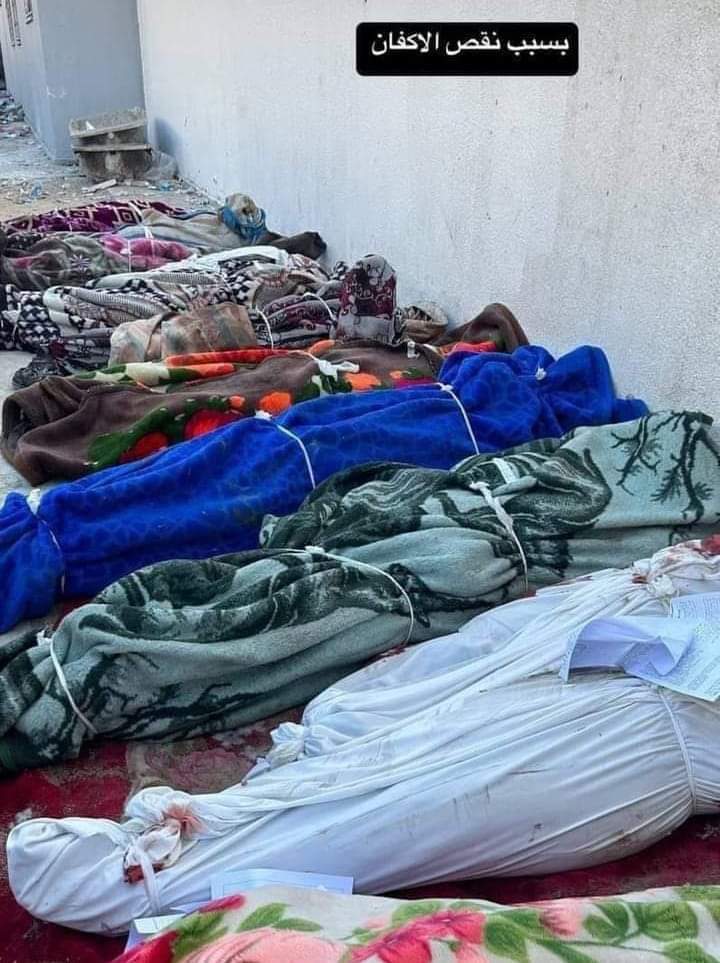 SenatorMushtaq's tweet photo. غزہ میں کفن کم پڑ گئے😭
عالم اسلام کے حکمران اور جرنیل اور کچھ نہیں کرسکتے توکم ازکم کفن تو بھجوائیں۔
@HamidMirPAK
@SaveGazaPK https://t.co/gPVceAMbr0