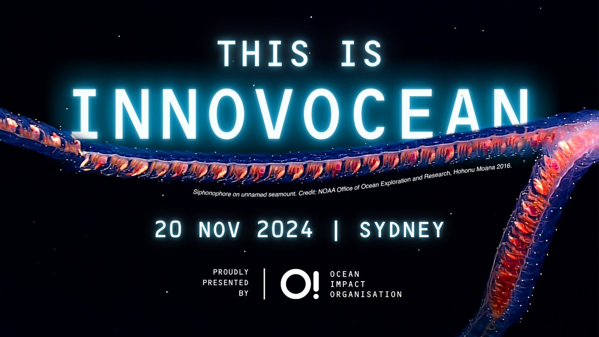 Ocean Impact Organisation tweet media