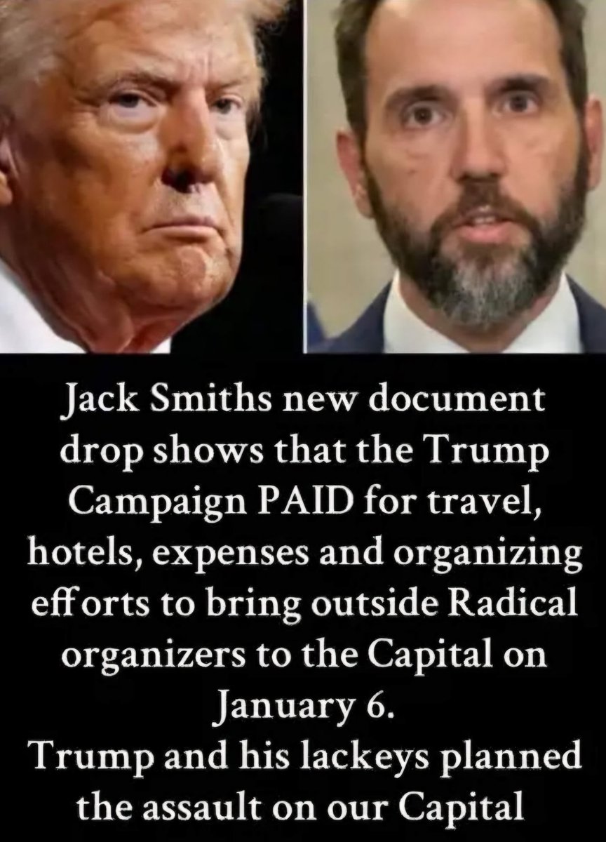 Trump financed the Jan 6 insurrection.

Let that sink in.