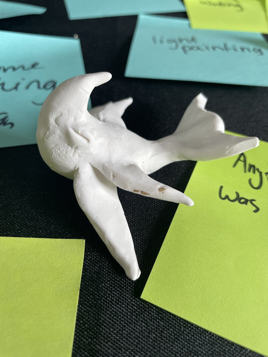 Alysha Herrmann tweet media