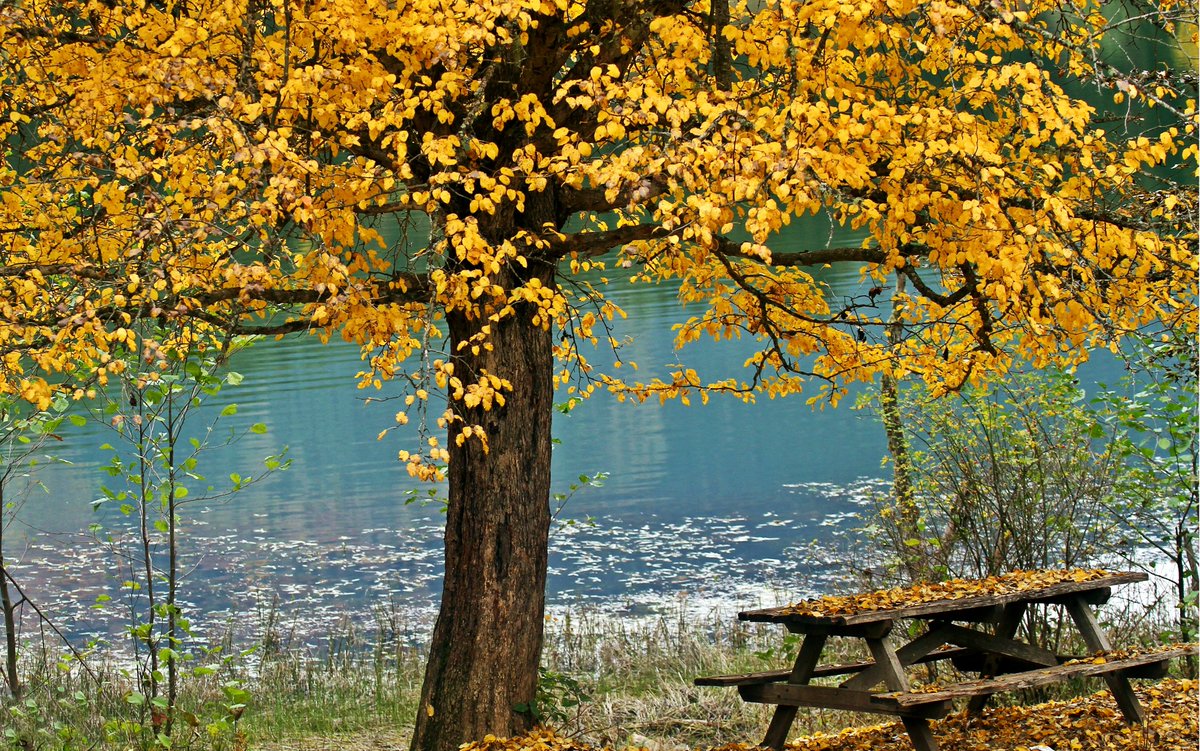 Artvin Şavşat Karagöl...