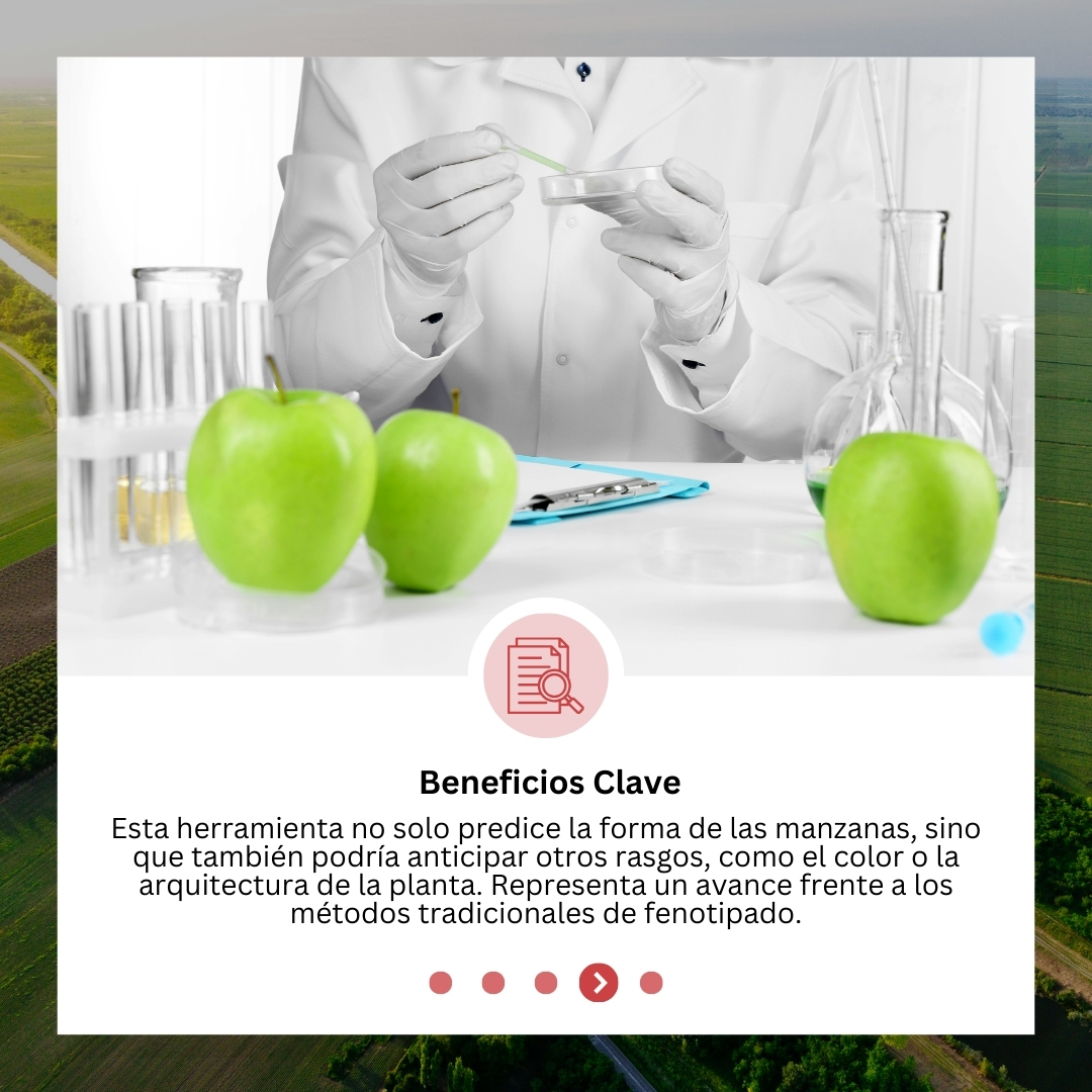 🌱💡 Innovación al servicio de la agricultura: ¡Conoce GenoDrawing! 🍏🚀

Gracias a esta revolucionaria herramienta basada en IA, los investigadores ahora pueden predecir los rasgos de las plantas sin necesidad de cultivarlas. 🌾🔬