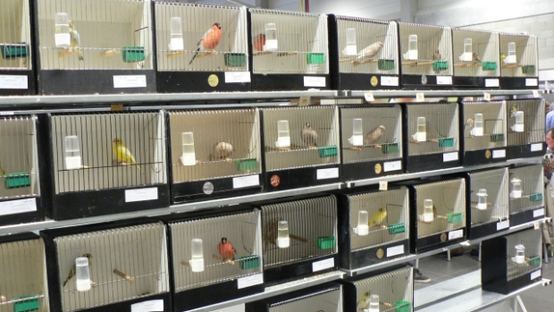 Woensdrechtse Bode tweet media