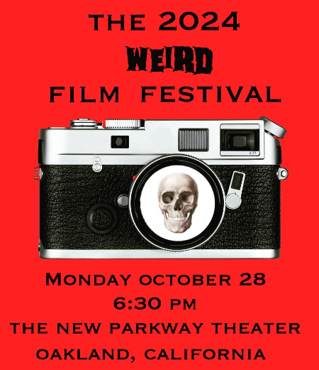 §ergi páez 🍉 tweet media