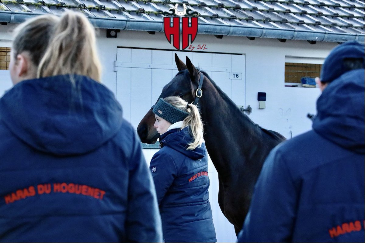 <a href="/harasduhoguenet/">Haras du Hoguenet</a> 
<a href="/InfoArqana/">ARQANA</a> 
📷 <a href="/svl_design/">Sabine Lösch</a>