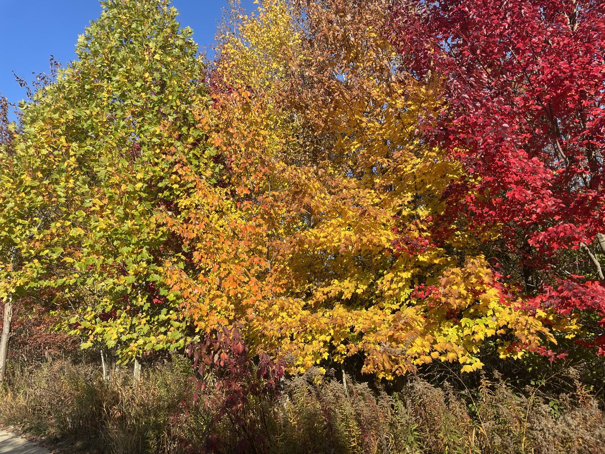 Jeff Melnick tweet media