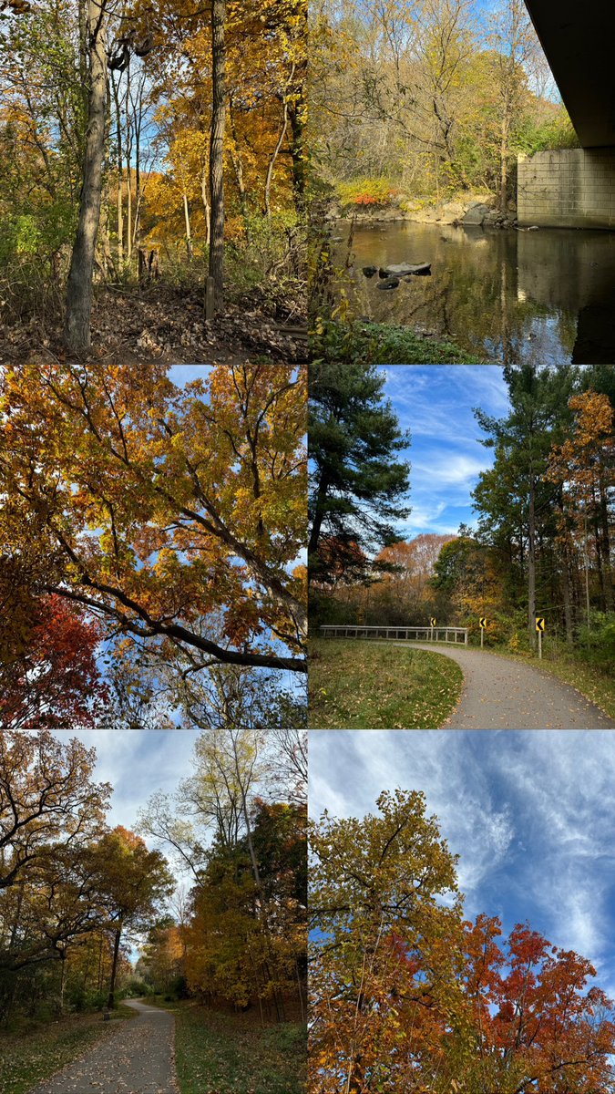 NNavram's tweet image. Did you get outside today? 👀 #leafpeeping #puremichigan