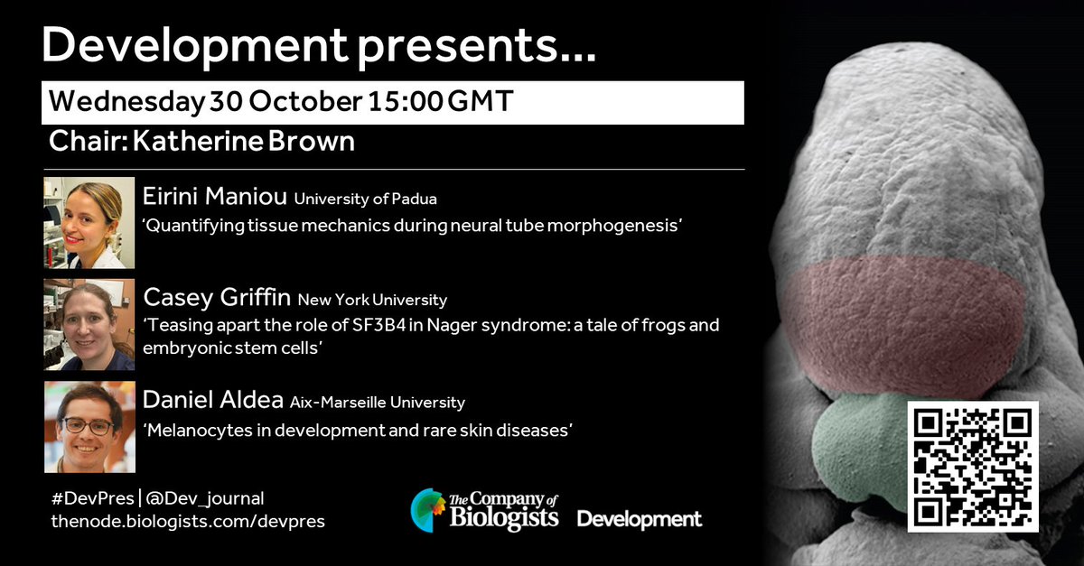 📢*Next Wednesday 30 Oct 15:00GMT*
Register for our next Development presents… October webinar on the development of ectoderm derivatives, featuring talks by Eirini Maniou <a href="/EManiou/">Eirini Maniou</a>, Casey Griffin and Daniel Aldea <a href="/dialdea/">Daniel Aldea</a>:
us02web.zoom.us/webinar/regist…

#DevBio #DevPres