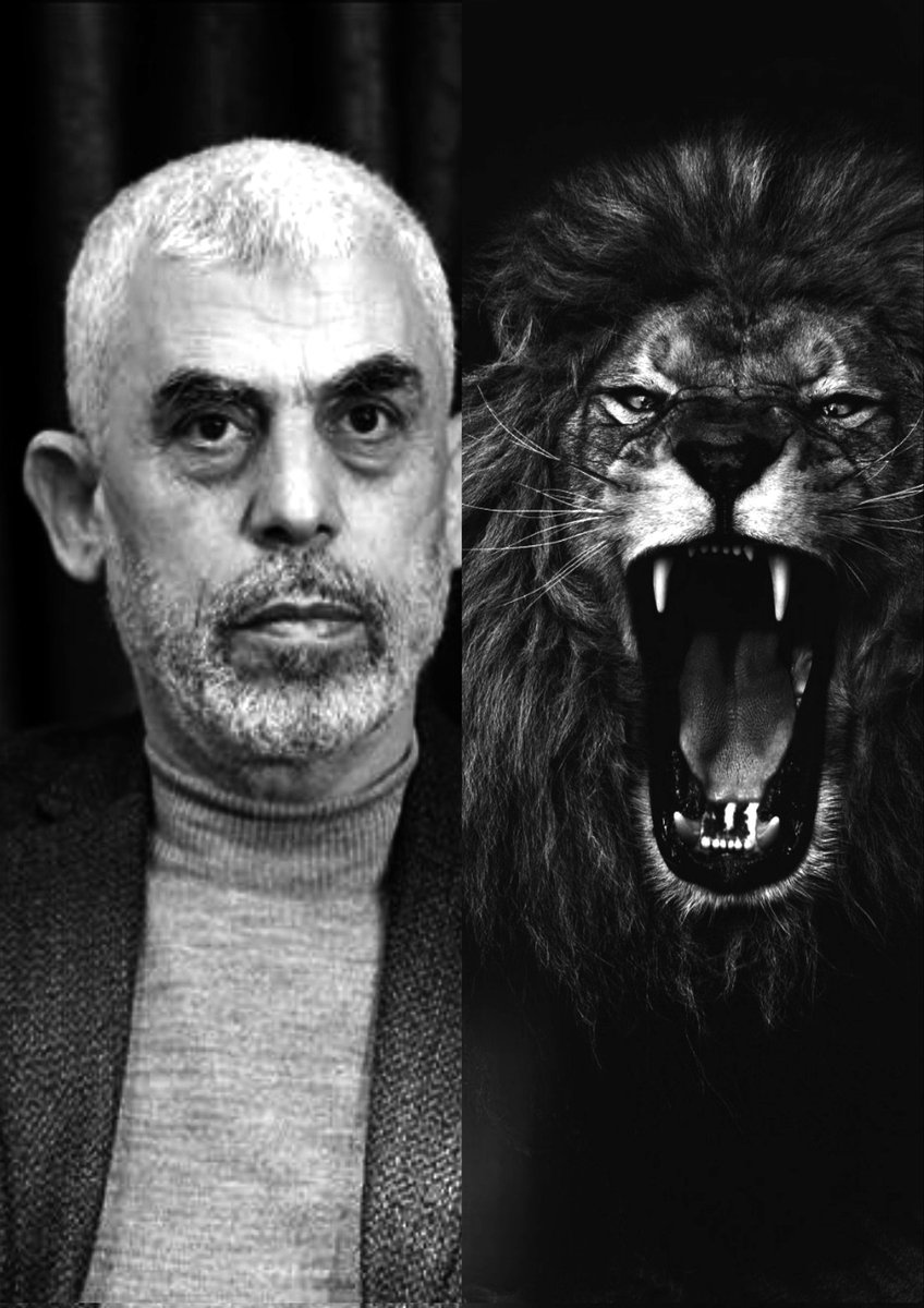 عش السنوار ولا تموت كالحمار
#تل_أبيب