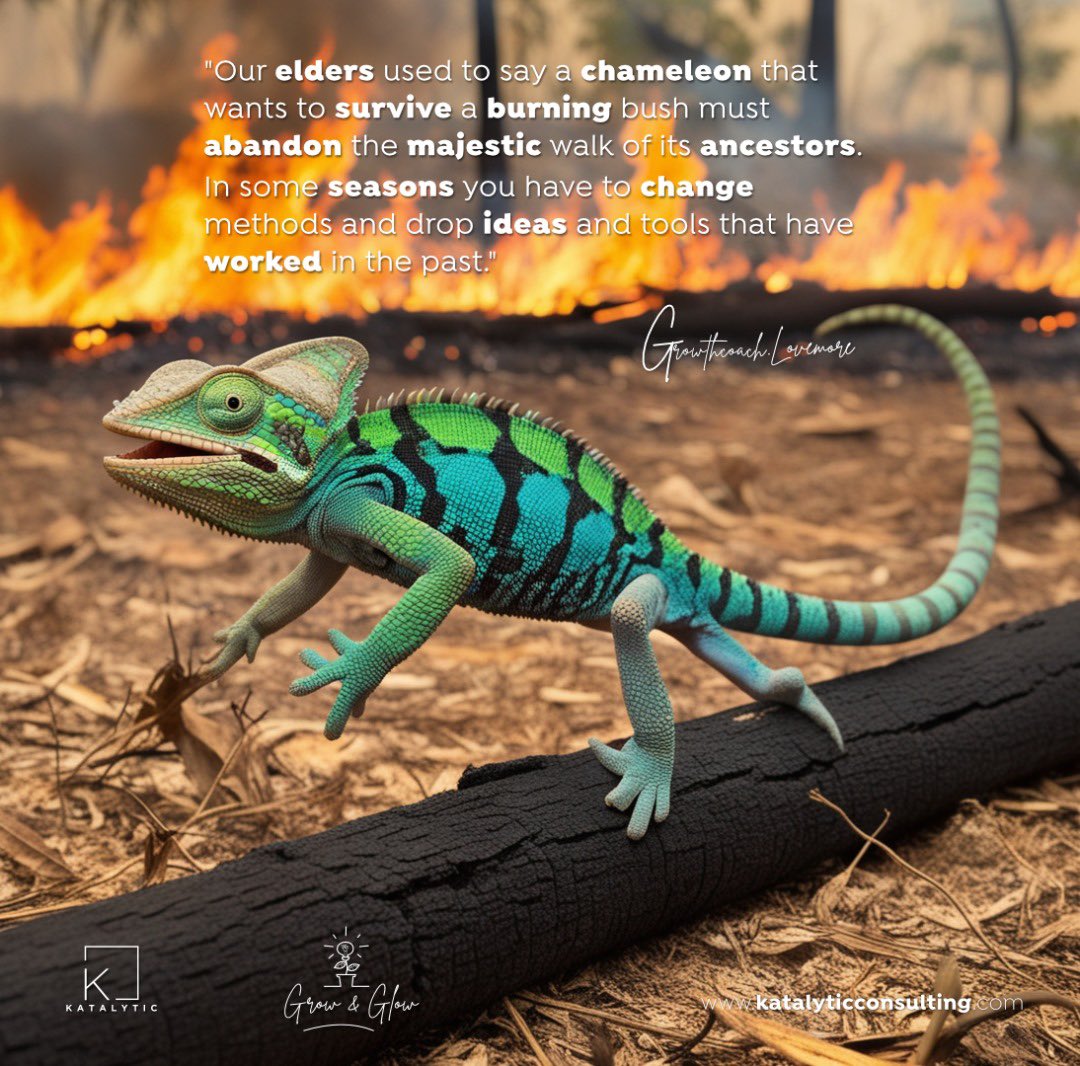 LovemoreNyatsin's tweet image. Our elders used to say a chameleon that wants to survive a burning bush must abandon the majestic walk of its ancestors.
In some seasons you have to change methods and drop ideas and tools that have worked in the past

Growth means sometimes you have to change methods and not…