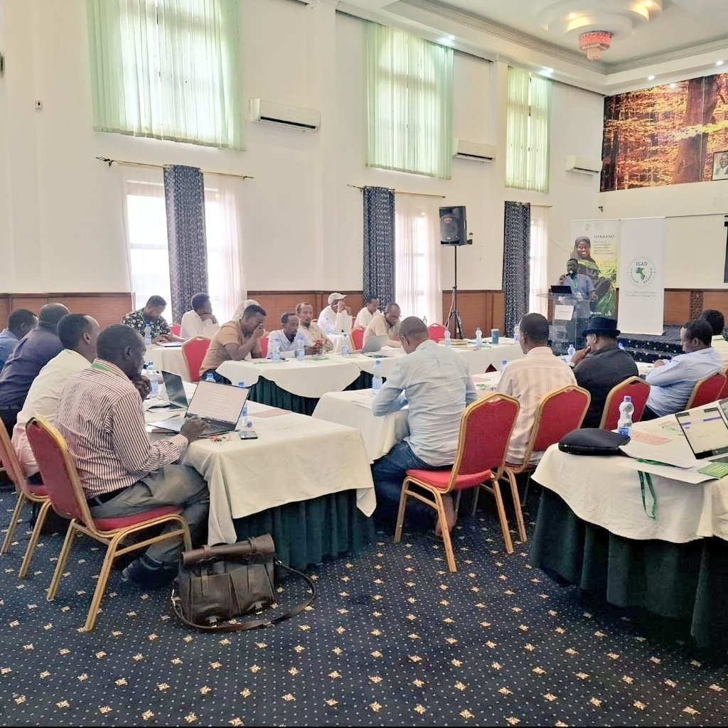 RACIDA_Ngo's tweet image. RACIDA joined partners and government officials from Kenya🇰🇪, Somalia🇸🇴, and Ethiopia🇪🇹, in an @IGADHealthS workshop to align efforts under the #HanaanoProgramme funded by @Irish_Aid implemented in partnership with @Concern Pastoralist Concern and @LifelineGedo

Key discussions:…