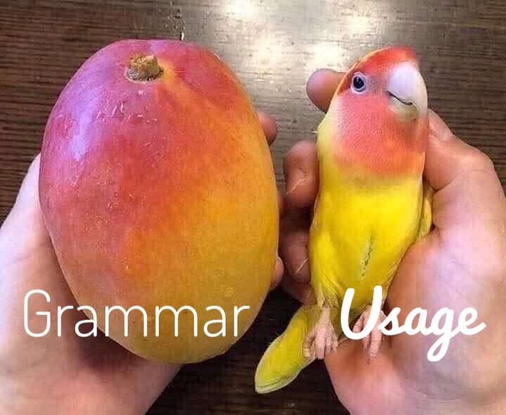jantelakoman's tweet image. Grammar vs. Usage #langtwt #LanguageLovers