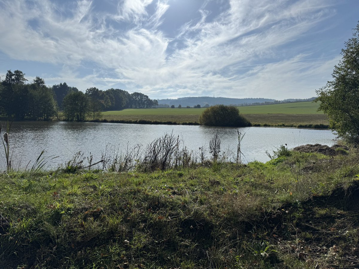 tony_ver2's tweet photo. Výlet k památníku bitvy u Sudoměře 22.10.2024
#turistika #CzechRepublic #vylety #czechia #les #forest #Autumn #Autumnvibes #hikingadventures #sudomer #zizka #husite #bitva #battle 1/3 https://t.co/U5WjzwnN9C
