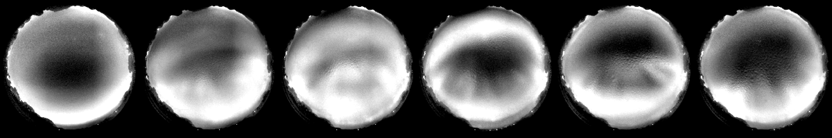 Our Fireball Camera also picks up Auroras. Below are a few processed frames from the Aurora on May 10 this year (22UTC). This one did not ruin any observations as the humidity was far too high on that night ;-)